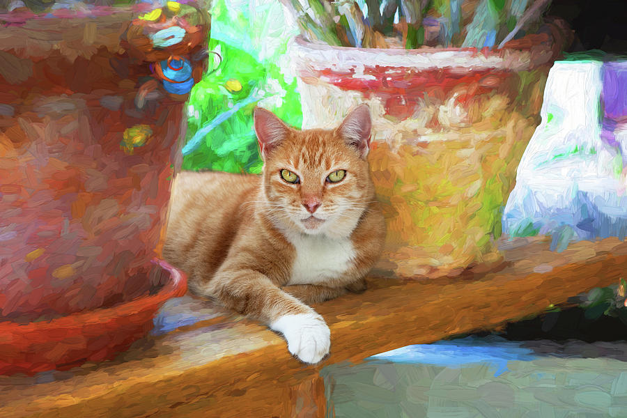 Luci Lu, the Ginger Cat 102 Photograph by Rich Franco