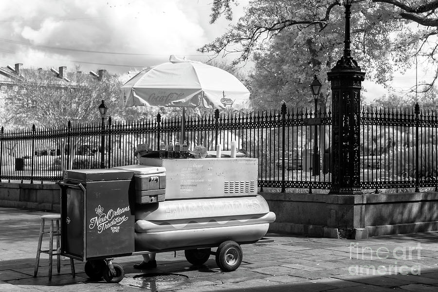 Lucky Day for Lucky Dogs New Orleans Infrared Photograph by John Rizzuto