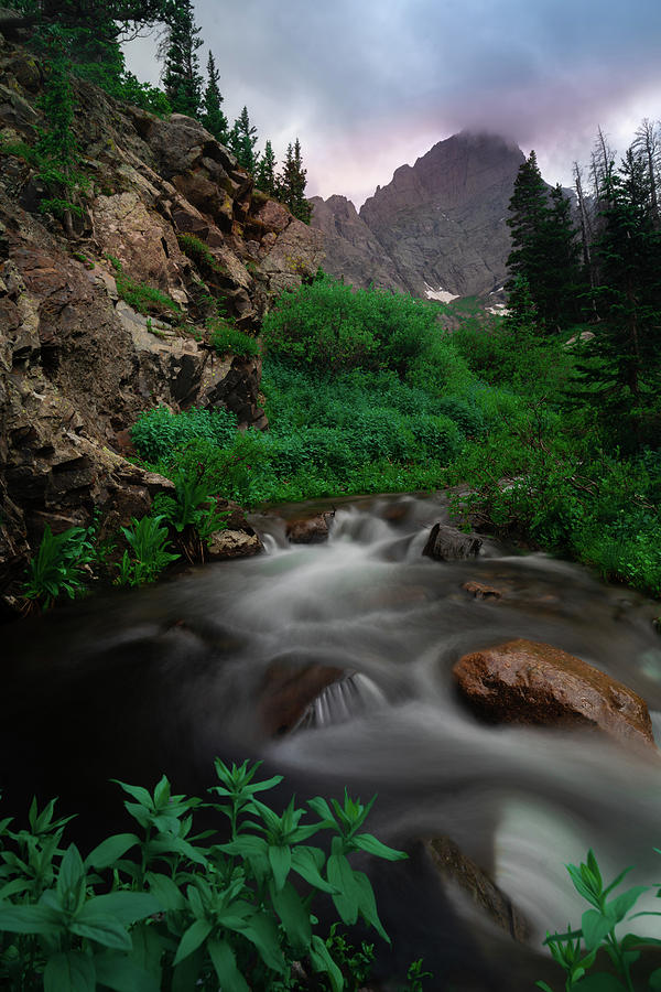 Lucky Day by Nicholas Morris Lucky Day by Nicholas Morris