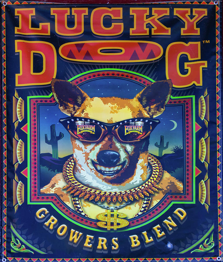 Lucky Dog Fertilizer Sign Photograph by Norma Brandsberg