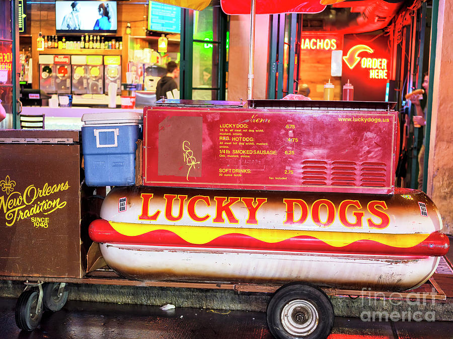 Lucky Dogs at Night in New Orleans Photograph by John Rizzuto