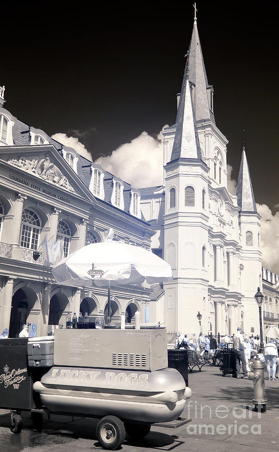 Lucky Dogs in Jackson Square New Orleans Infrared Photograph by John Rizzuto