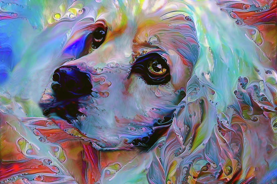 Lucky the Cocker Spaniel Digital Art by Peggy Collins