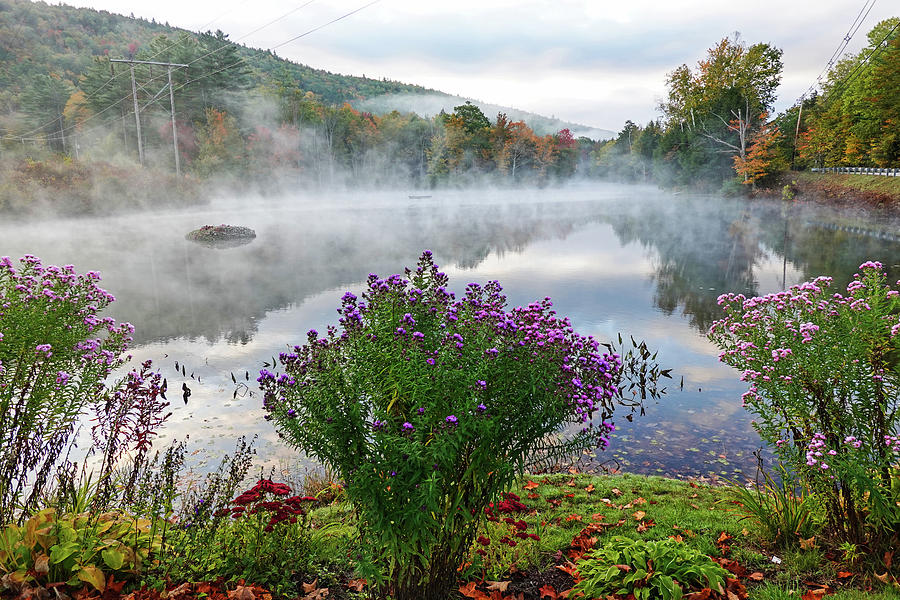 Ludow VT Flowers Misty Morning Fall Foliage Photograph by Toby McGuire