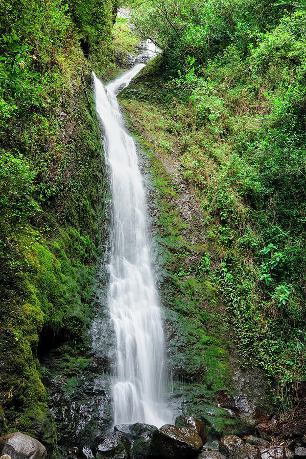 Lulumahu Falls Photograph by Bari Rhys