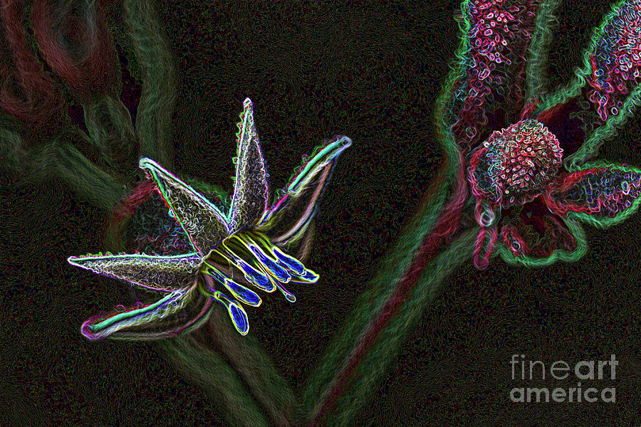 Luminescent Flora Photograph by Roslyn Wilkins
