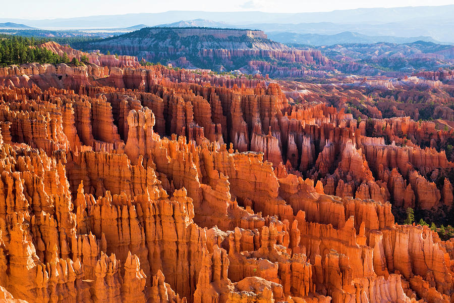 Luminous Spires Of Bryce Canyon Photograph by Dszc