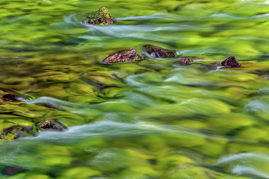Luminous Waters 4 Photograph by Leland D Howard