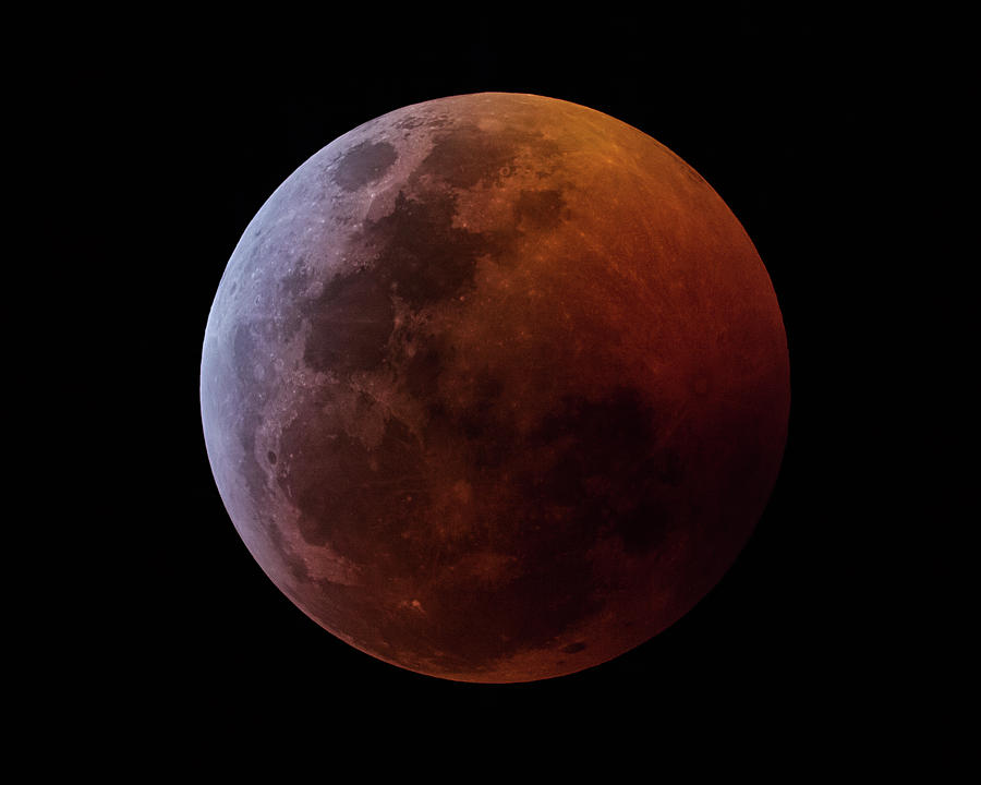 Lunar Eclipse 2019_11h44m Photograph by Dennis Sprinkle
