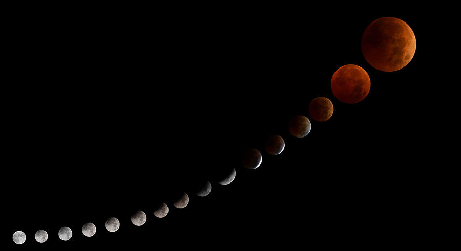 Lunar Photograph - Lunar Eclipse 2022 by Raghuvamsh Chavali