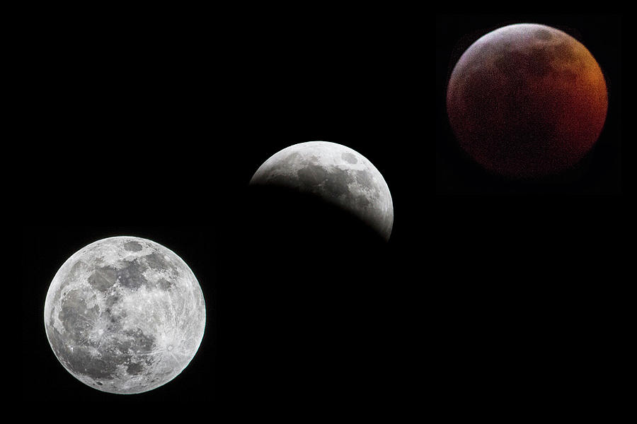 Lunar Eclipse Photograph by Bob Decker