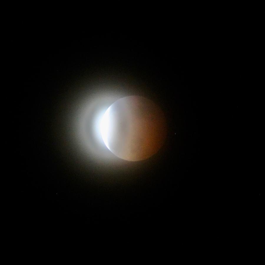 Lunar Eclipse Jan 2019 Photograph by Cathie Douglas