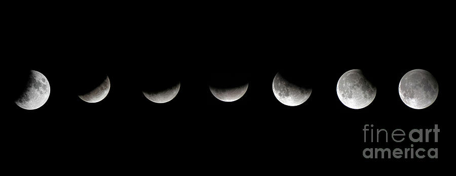 Lunar Eclipse  Photograph by Nina Ficur Feenan