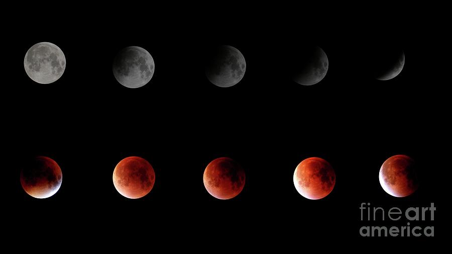 Lunar Eclipse Sequence Photograph By Richard Germain/science Photo Library