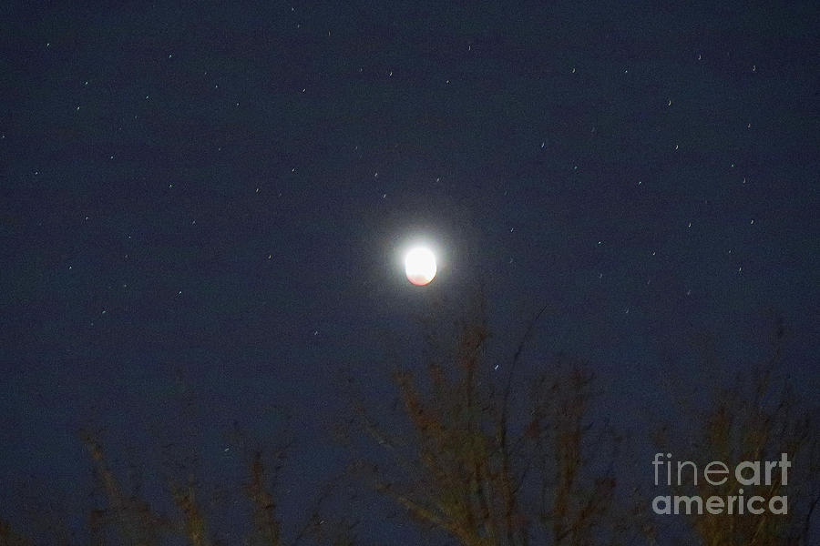 Lunar Eclipse Underway Photograph by Ann Horn