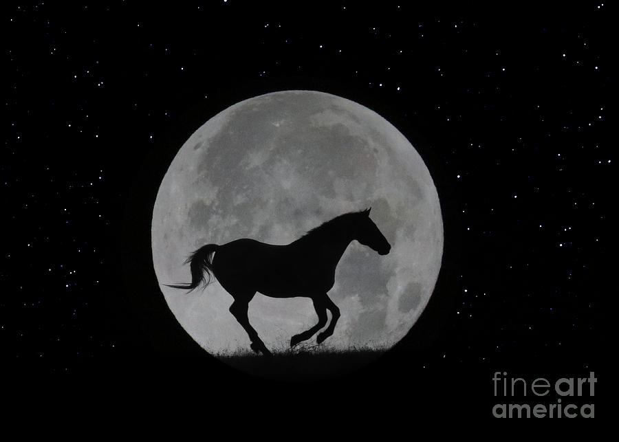 Lunar Horse Running in Night Sky with Big Full Moon Photograph by Stephanie Laird