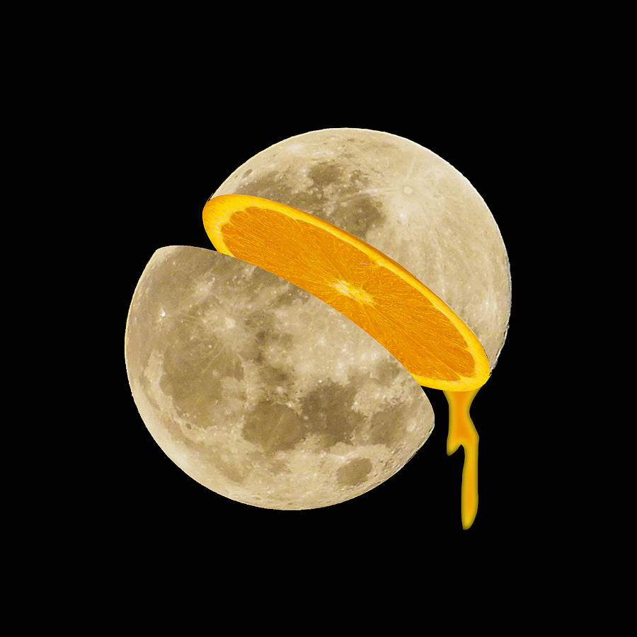 Lunar Moon Fruit Painting by Tony Rubino
