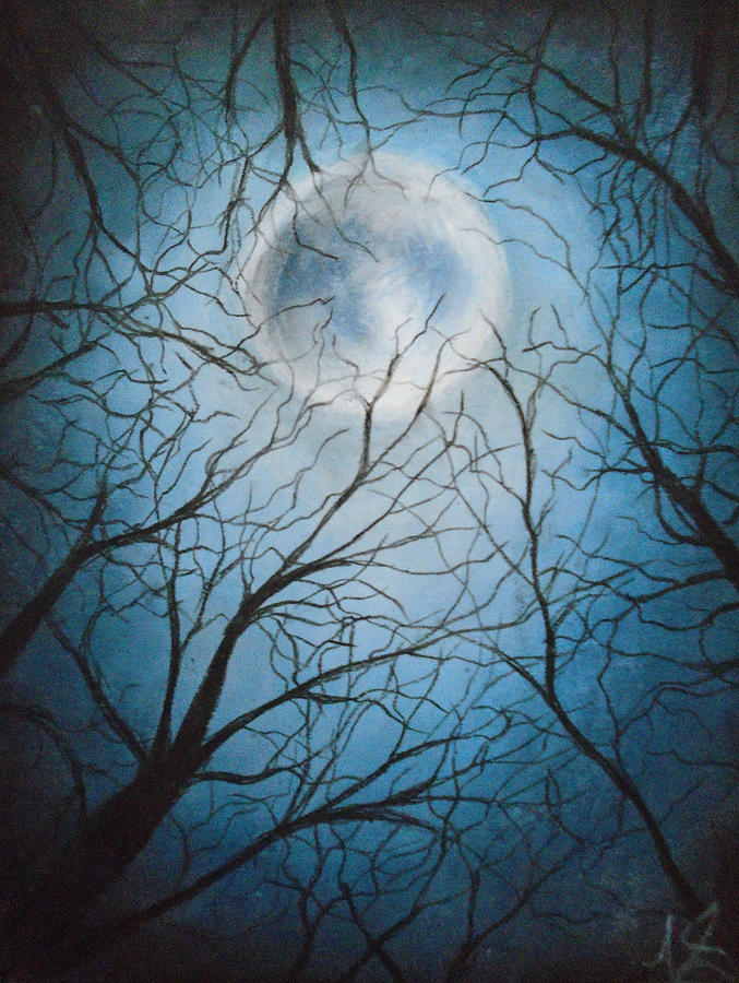 Lunar Nights Drawing by Jen Shearer