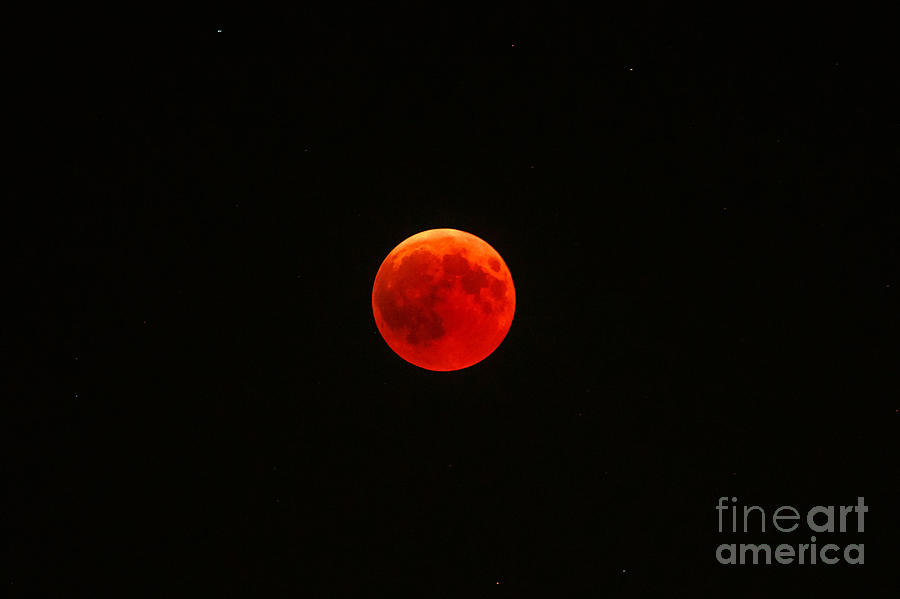 Lunar red eclipse Photograph by Benny Marty