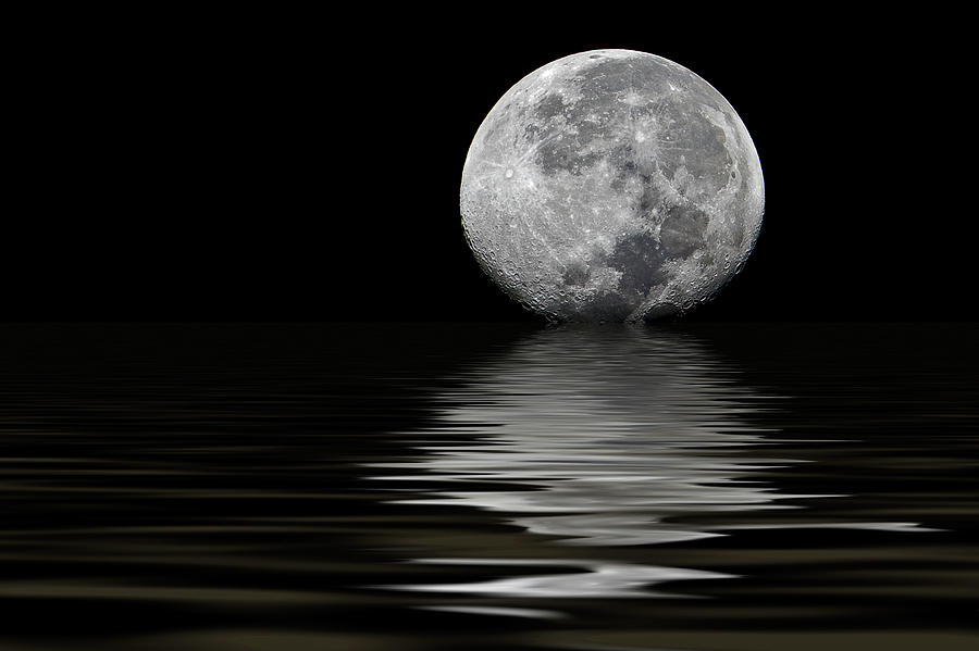Lunar Reflections Photograph by Billy Currie Photography