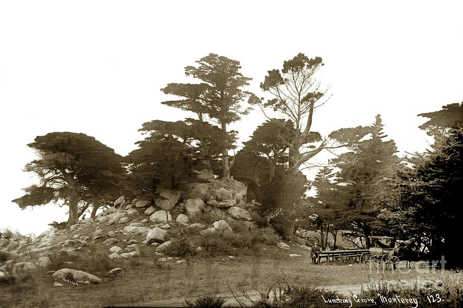 Lunching Photograph - Lunching Grove 17 Mile Drive Pebble Beach 1887 by Monterey County Historical Society