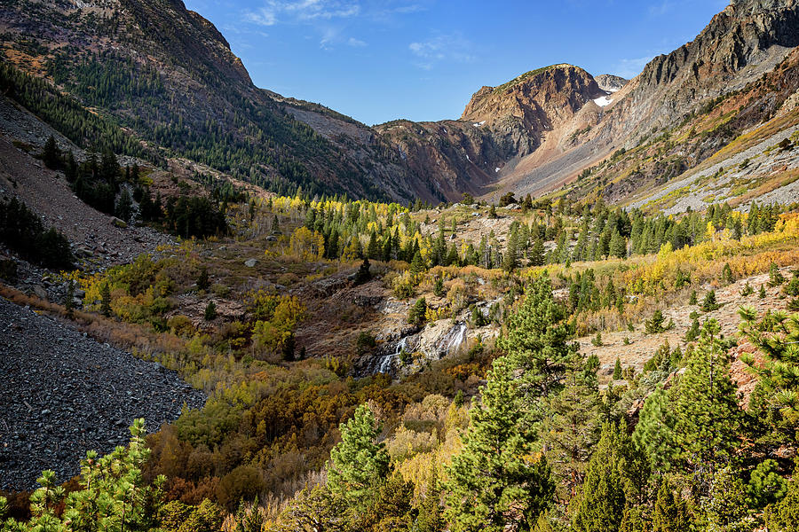 Lundy Canyon Fall Colors Photograph by Kelley King