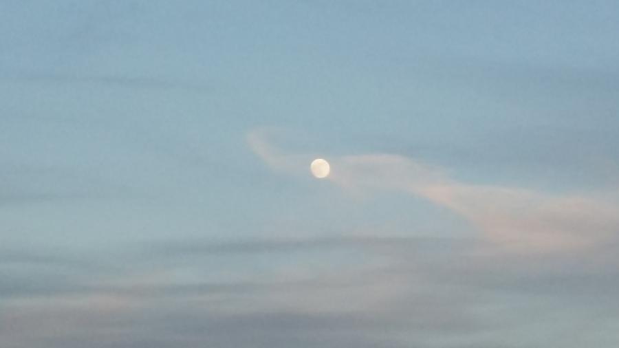 Lune Dans Un Ciel Bleu Laiteux Photograph By Annie Potti