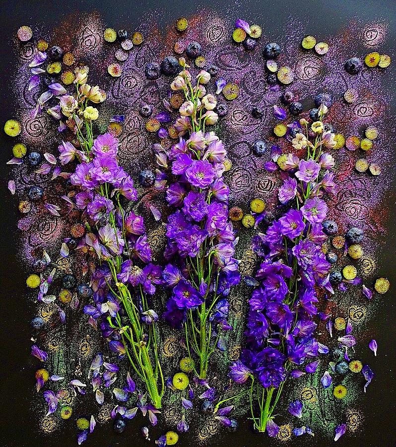 Lupine and Blueberries by Sarah Phillips Lupine and Blueberries by Sarah Phillips