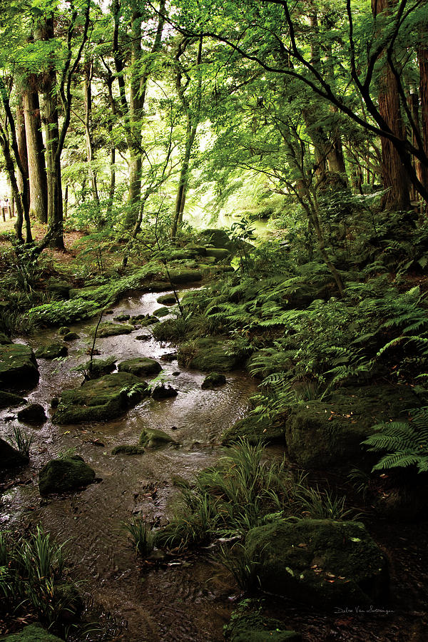 Brooks Painting - Lush Creek In Forest by Debra Van Swearingen Brooks Painting - Lush Creek In Forest by Debra Van Swearingen