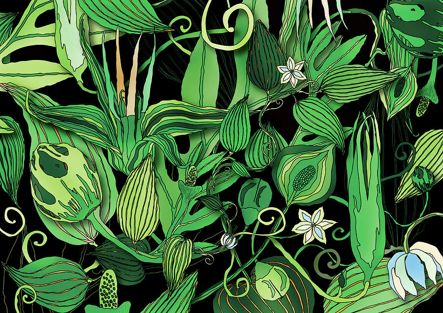 Lush Green Foliage Pattern Photograph by Ikon Images
