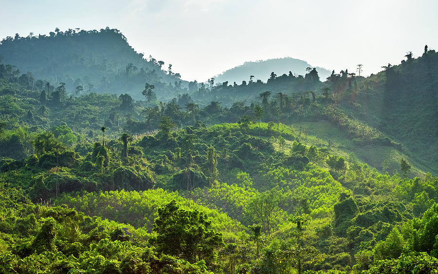 Lush Green Jungle Landscape Along Ho Chi Minh Highway West, Vietnam ...