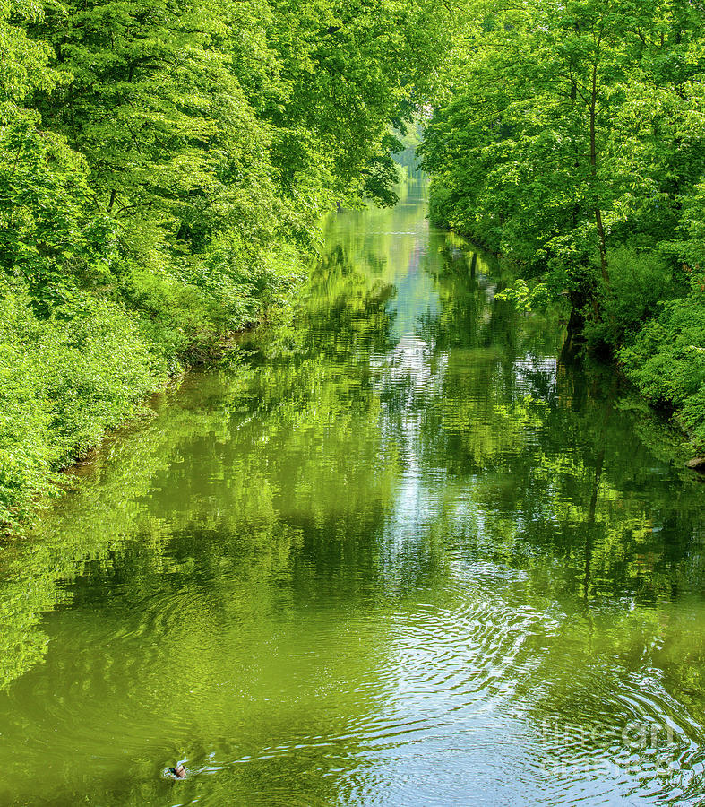 Lush green paradise  tranquil Creek Scene with Green Lush Trees, shrubs and  Bushes at the Riverbank Photograph by Ulrich Wende