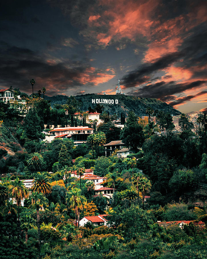 Hollywood Photograph - Lush Los Angeles by Andrew Mason