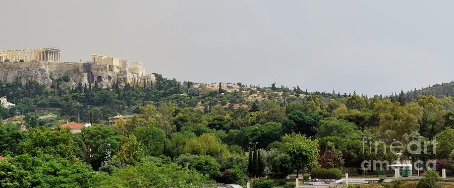 Lush View From Acropolis Museum Photograph by Janet Marie