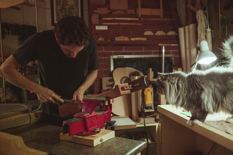 Guitar Still Life Photograph - Luthier Making Guitar With Cat At Workshop by Cavan Images