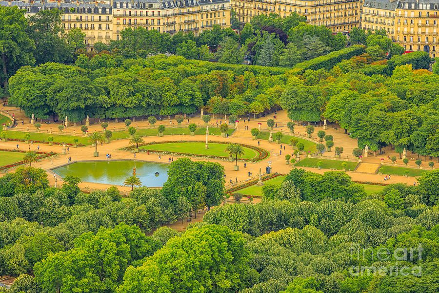 Luxembourg Gardens of Paris Photograph by Benny Marty