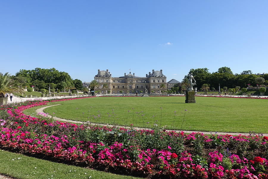 Luxembourg Gardens Paris Photograph by Patricia Caron