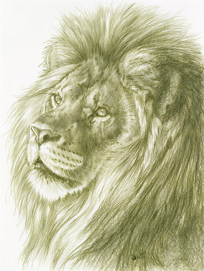 Lion Painting - Luxurient by Barbara Keith