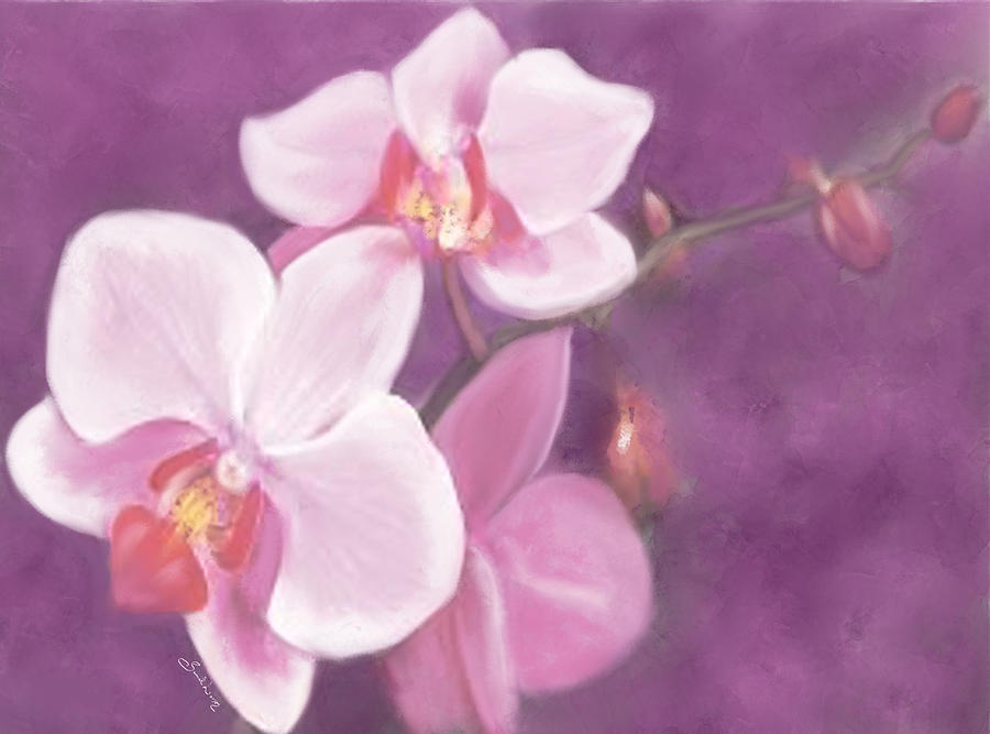 Luxurious Petals by Sannel Larson Luxurious Petals by Sannel Larson