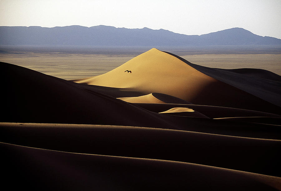 Lybia, Akakus Desert Dunes Digital Art by Cesare Gerolimetto