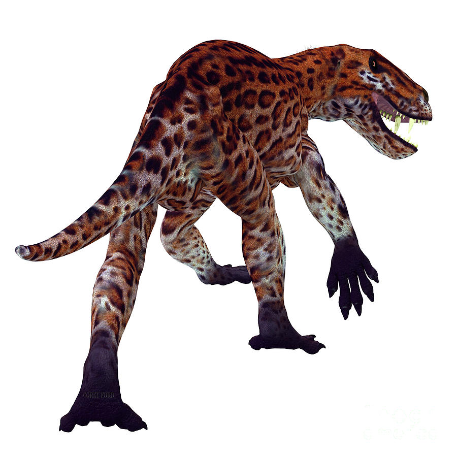 Lycaenops Cat Tail Digital Art by Corey Ford