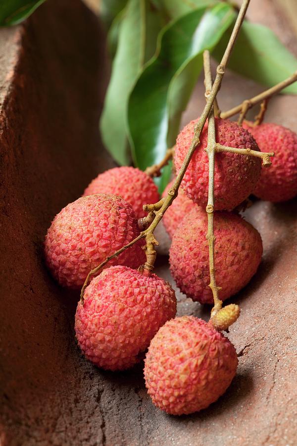 Lychees On A Twig Photograph by Hilde Mche
