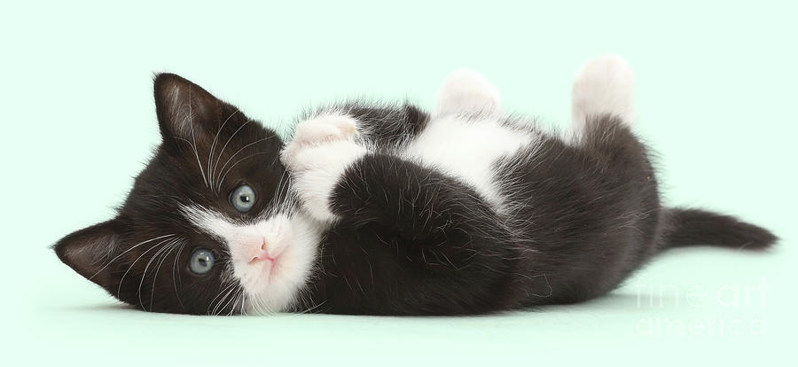 Lying back in Black-and-white by Warren Photographic Lying back in Black-and-white by Warren Photographic