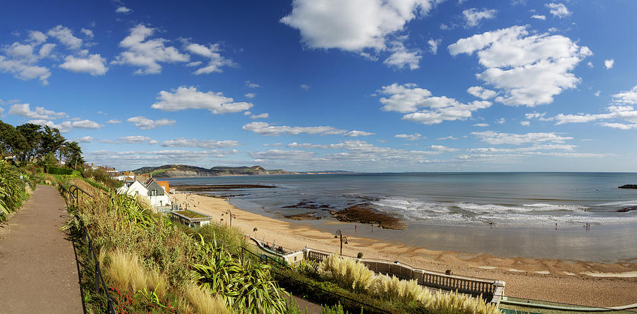 Lyme Regis Panorama Photograph by Maggie Mccall
