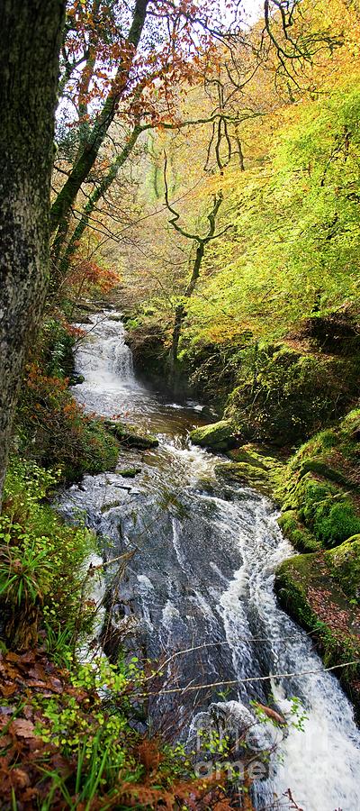Lynmouth River Woodland Photograph by Dr Keith Wheeler/science Photo Library