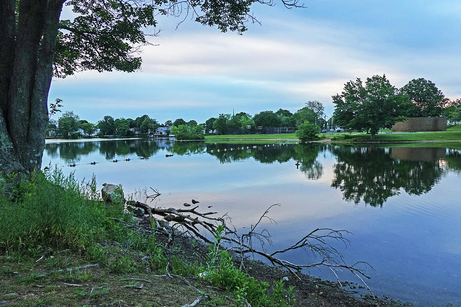 Lynn MA Flax Pond Sunrise Clouds Photograph by Toby McGuire