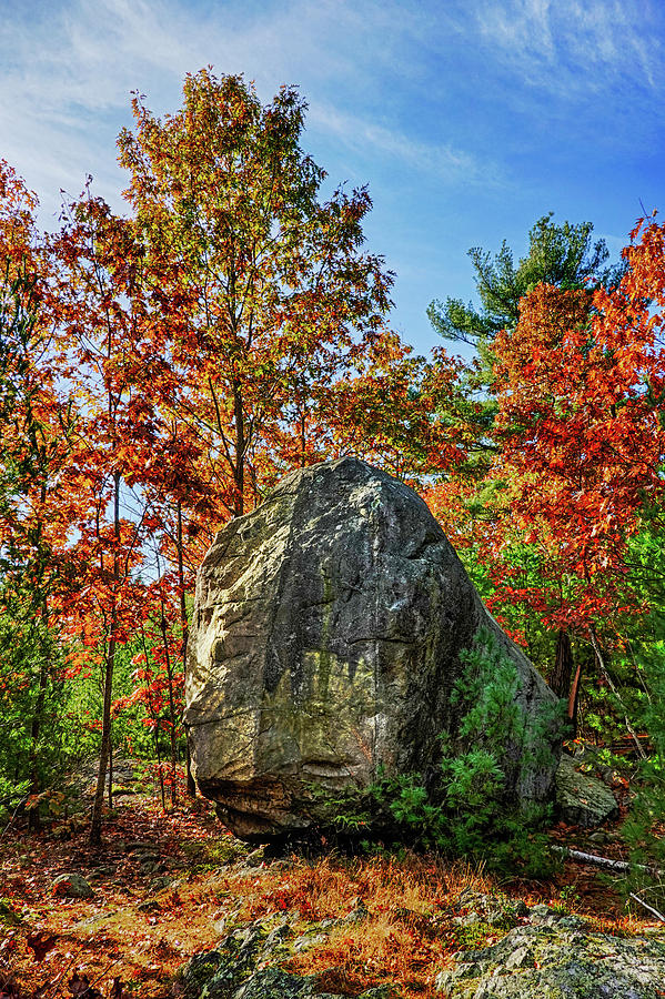 Lynn Woods Dungeon Rock Fall Foliage Lynn Massachusetts Red Orange Photograph by Toby McGuire