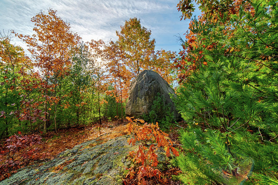Lynn Woods Dungeon Rock Fall Foliage Lynn Massachusetts Photograph by Toby McGuire