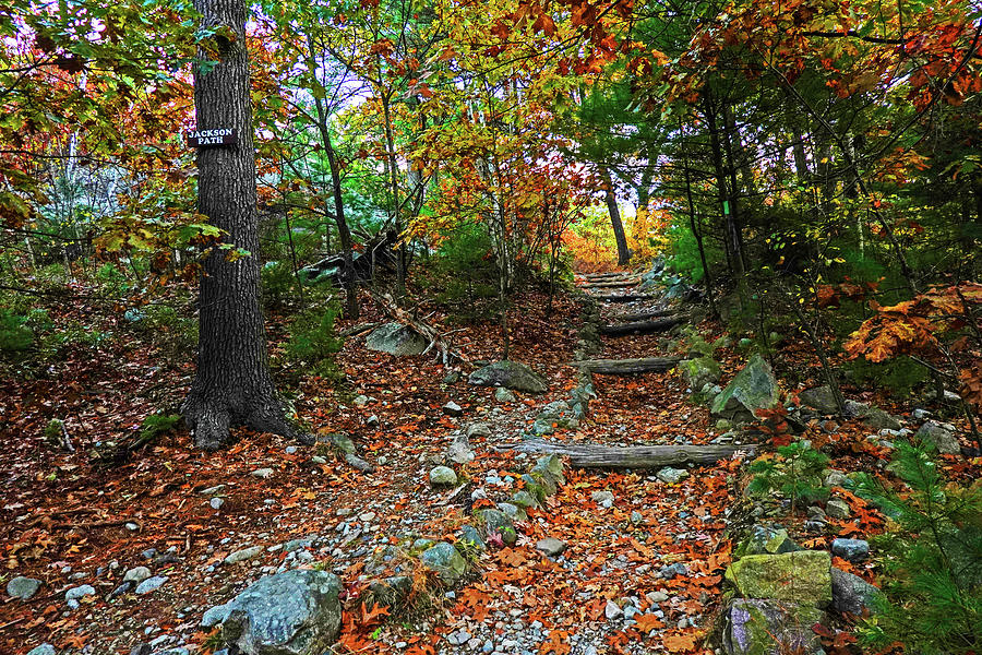 Lynn Woods Stairs Jackson Path Fall Foliage Lynn Massachusetts Photograph by Toby McGuire