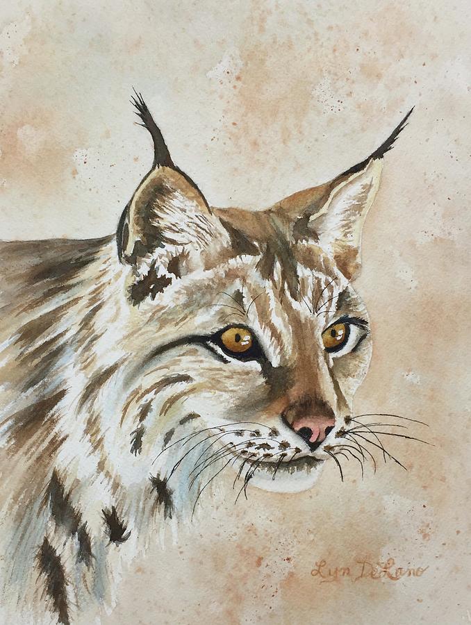 Lynx Painting by Lyn DeLano